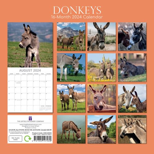 Donkeys – 2024 Square Wall Calendar Pets Animals 16 Months New Year Planner Gift