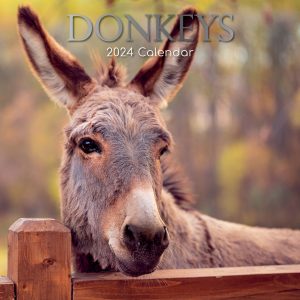 Donkeys - 2024 Square Wall Calendar Pets Animals 16 Months New Year Planner Gift