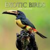 Exotic Birds – 2024 Square Wall Calendar Pets Animals 16 Months Premium Planner