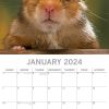 Hamsters – 2024 Square Wall Calendar Cute Pets Animals 16 Months Premium Planner