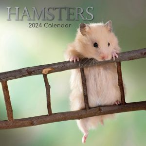 Hamsters - 2024 Square Wall Calendar Cute Pets Animals 16 Months Premium Planner