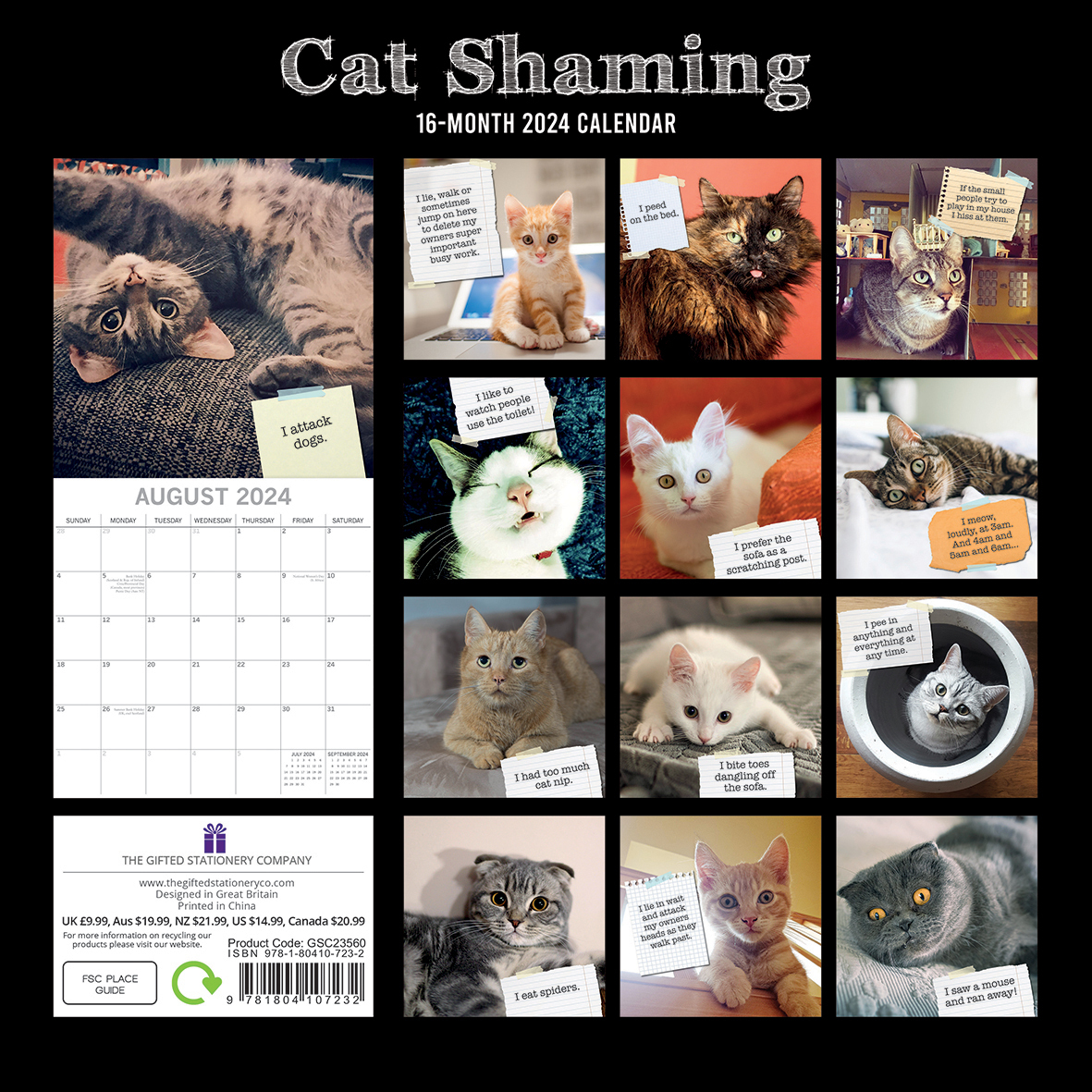 Cat Shaming 2024 Square Wall Calendar Pets Animals 16 Months Premium