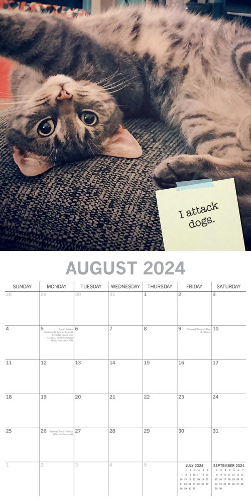 Cat Shaming – 2024 Square Wall Calendar Pets Animals 16 Months Premium Planner
