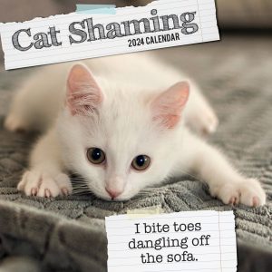 Cat Shaming - 2024 Square Wall Calendar Pets Animals 16 Months Premium Planner