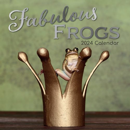 Fabulous Frogs – 2024 Square Wall Calendar Pets Animals 16 Month Premium Planner
