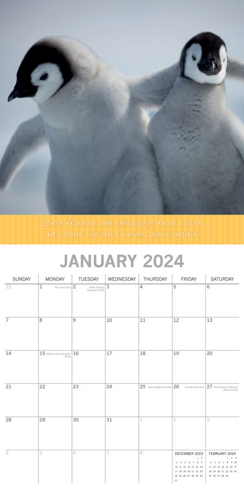Best Friends – 2024 Square Wall Calendar Pets Animals 16 Months Premium Planner