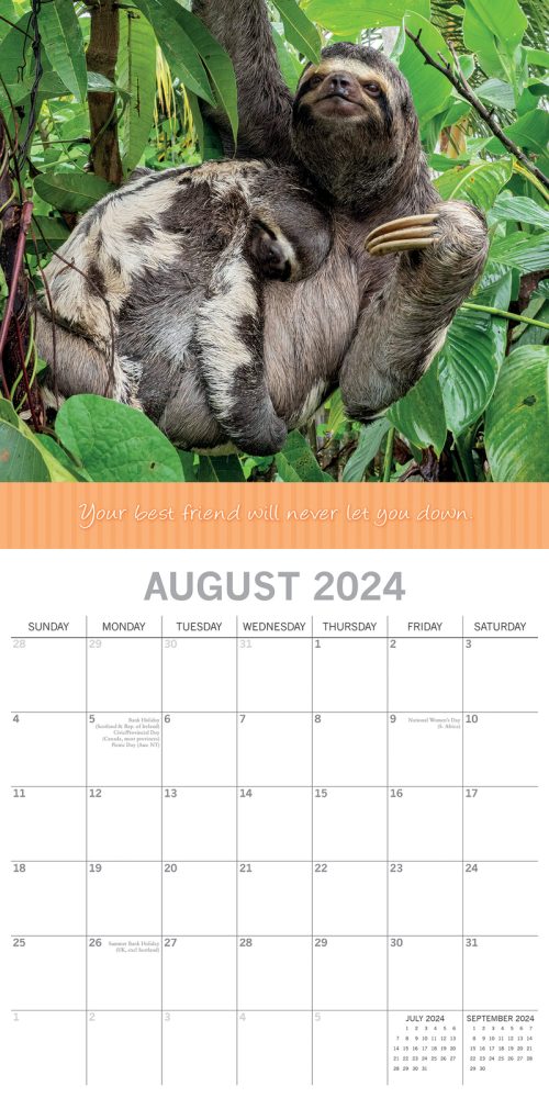 Best Friends – 2024 Square Wall Calendar Pets Animals 16 Months Premium Planner