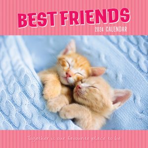 Best Friends - 2024 Square Wall Calendar Pets Animals 16 Months Premium Planner