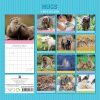 Hugs – 2024 Square Wall Calendar Pets Animals 16 Months Premium Planner New Year