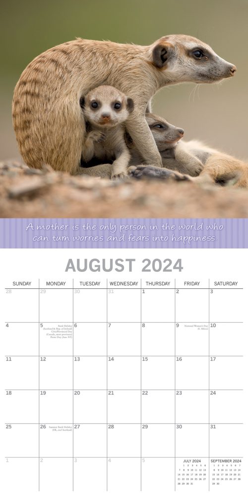 Mother’s Love – 2024 Square Wall Calendar Pets Animals 16 Months Premium Planner