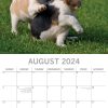 Beagles – 2024 Square Wall Calendar Pets Dog 16 Months Premium Planner New Year