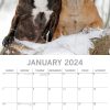 Staffordshire Bull Terriers 2024 Square Wall Calendar Pets Dog 16 Months Planner