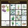 Succulents – 2024 Square Wall Calendar 16 Months Arts Planner Xmas New Year Gift