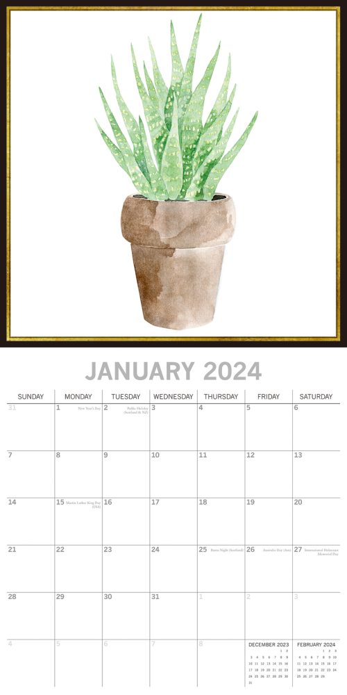 Succulents – 2024 Square Wall Calendar 16 Months Arts Planner Xmas New Year Gift