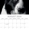 Dog Portraits – 2024 Square Wall Calendar 16 Months Black & White Planner Gift