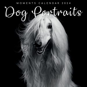 Dog Portraits - 2024 Square Wall Calendar 16 Months Black & White Planner Gift