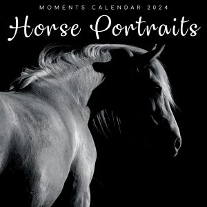 Horse Portraits - 2024 Square Wall Calendar 16 Months Black & White Planner Gift