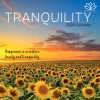 Tranquility – 2024 Square Wall Calendar 16 Month Planner Christmas New Year Gift