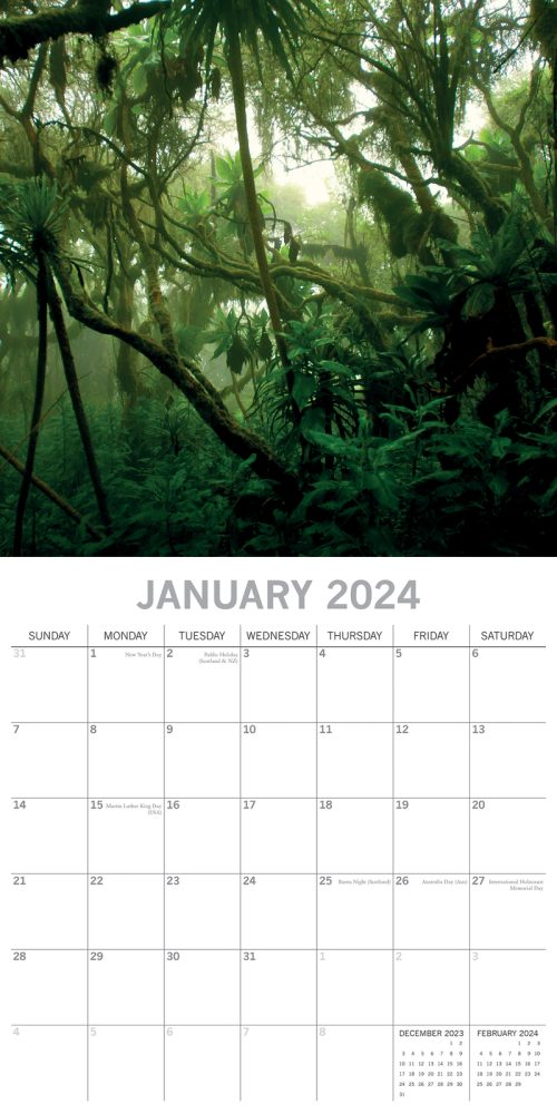 Jungles – 2024 Square Wall Calendar 16 Months Premium Planner Xmas New Year Gift