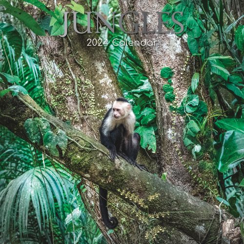 Jungles – 2024 Square Wall Calendar 16 Months Premium Planner Xmas New Year Gift