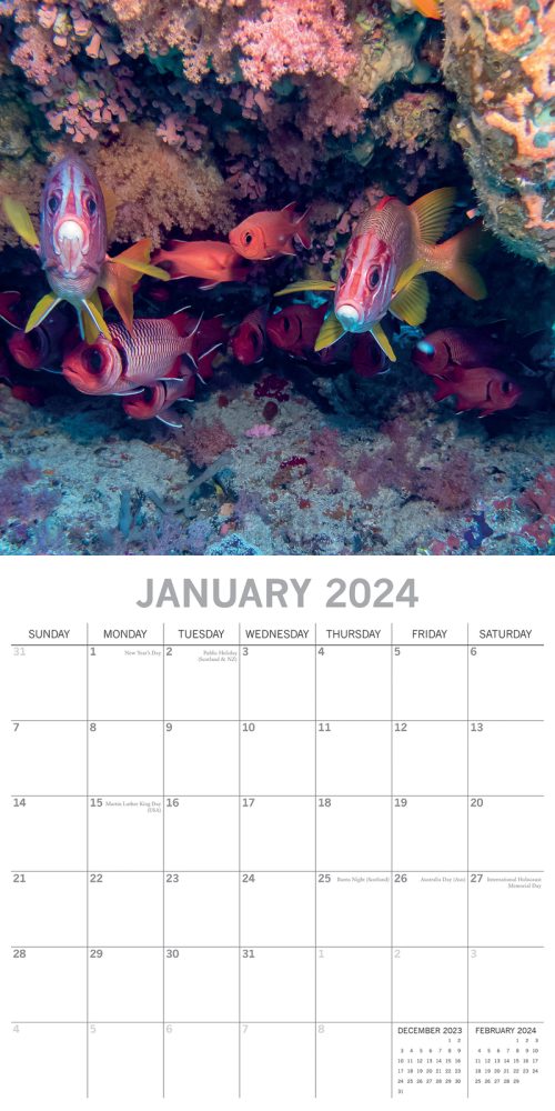Under the Sea 2024 Square Wall Calendar 16 Month Planner Christmas New Year Gift