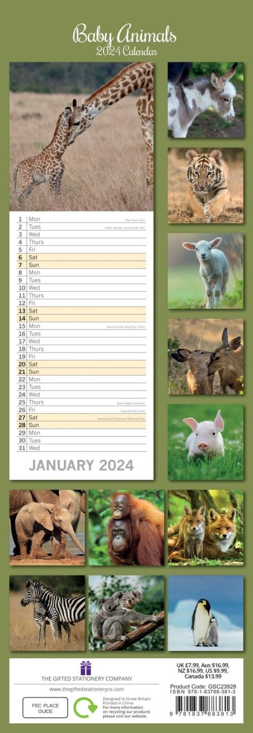 Baby Animals – 2024 Slimline Slim Wall Calendar Hanging Planner New Year Gift