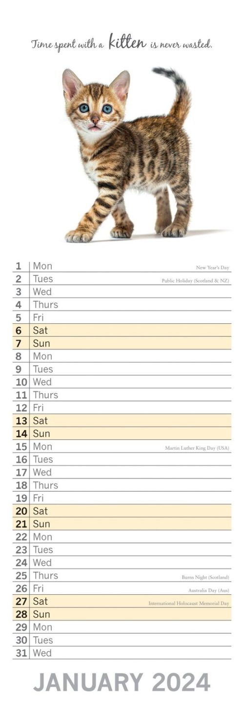 Cute Kittens – 2024 Slimline Slim Wall Calendar Hanging Planner New Year Gift