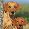 Dogs & Puppies – 2024 Slimline Slim Wall Calendar Hanging Planner New Year Gift