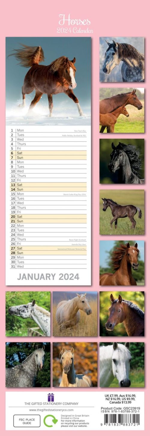 Horses – 2024 Slimline Slim Wall Calendar Hanging Planner New Year Gift