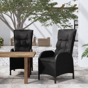 Outdoor Chairs 2 pcs Poly Rattan