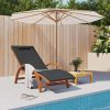 Sun Lounger with Pillow Textilene and Solid Wood Poplar