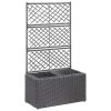 Trellis Raised Bed with Pot Poly Rattan