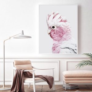 Pink Galah White Frame Canvas Wall Art