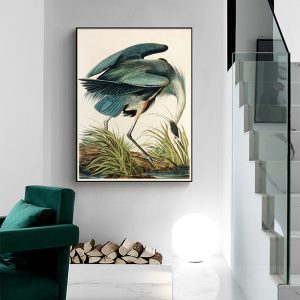 Great Blue Heron By John James Audubon Black Frame Canvas Wall Art