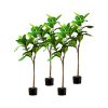 Green Artificial Indoor Qin Yerong Tree Fake Plant Simulation Decorative