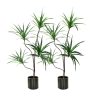 Green Artificial Indoor Brazlian Iron Tree Fake Plant Decorative 4 Heads
