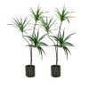 Green Artificial Indoor Brazlian Iron Tree Fake Plant Decorative 3 Heads