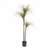 Green Artificial Indoor Dragon Blood Tree Fake Plant Decorative