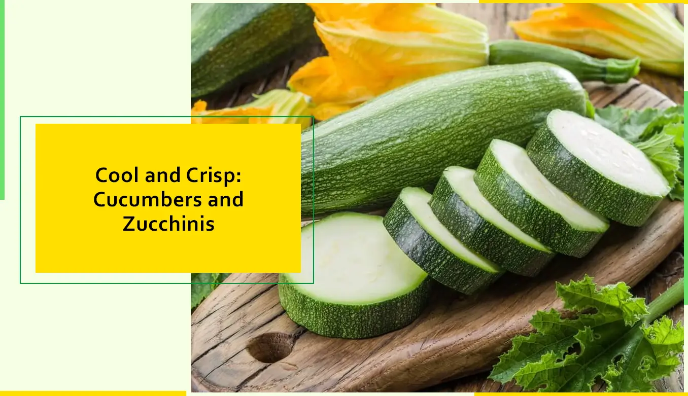 Cool And Crisp Cucumbers and Zucchinis
