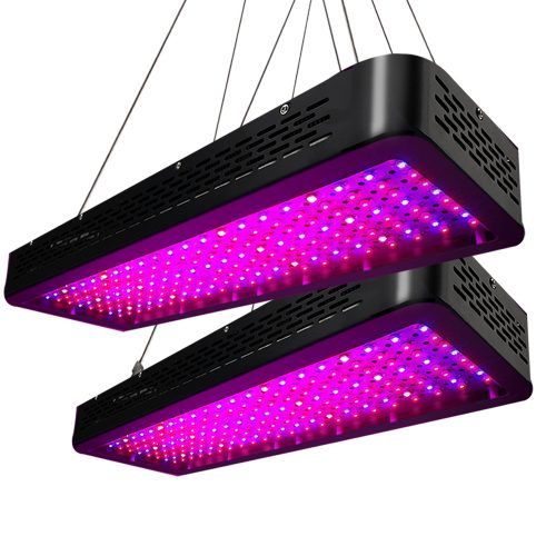 2X 2000W Grow Lights LED Full Spectrum Indoor Plant All Stage Growth