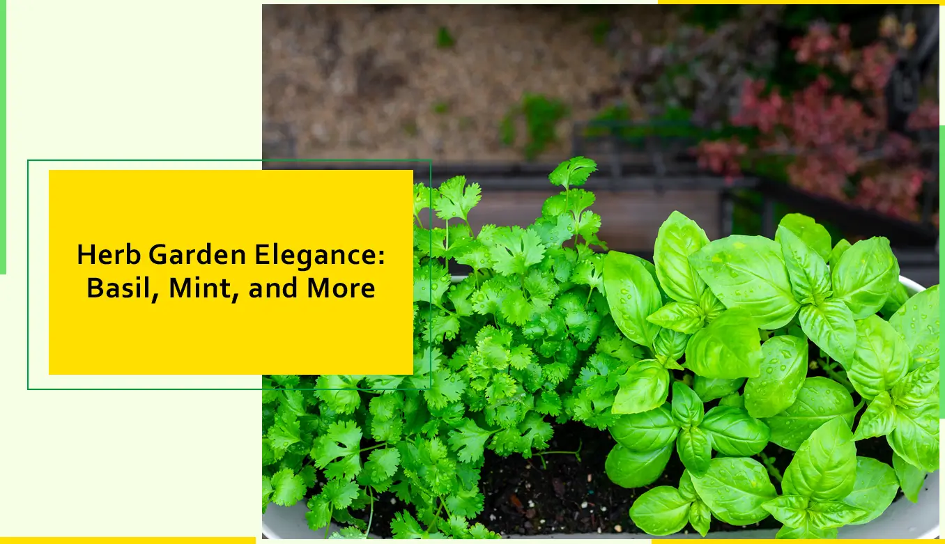 Herb Garden Elegance Basil Mint And More