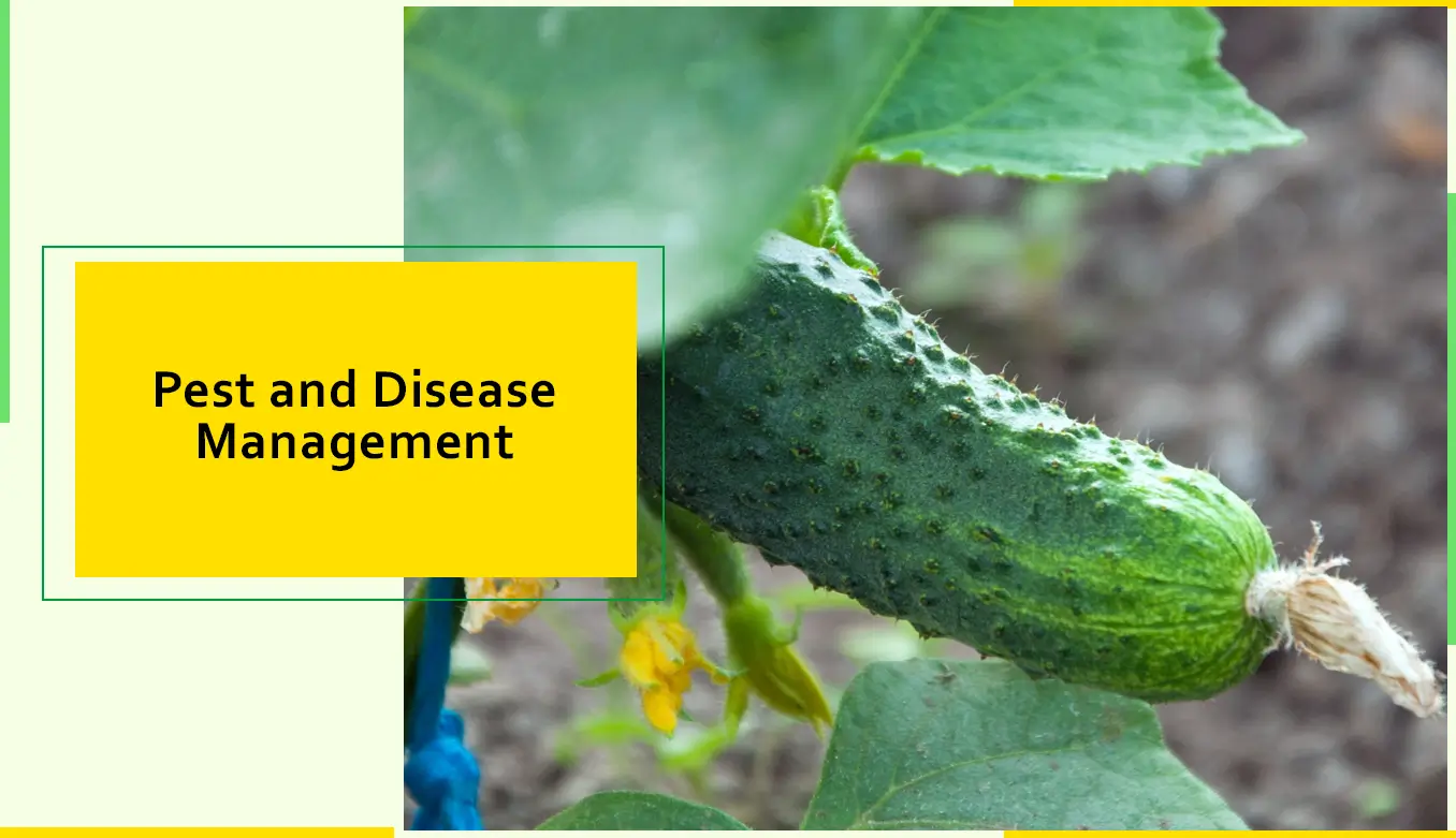 Pest and Disease Management