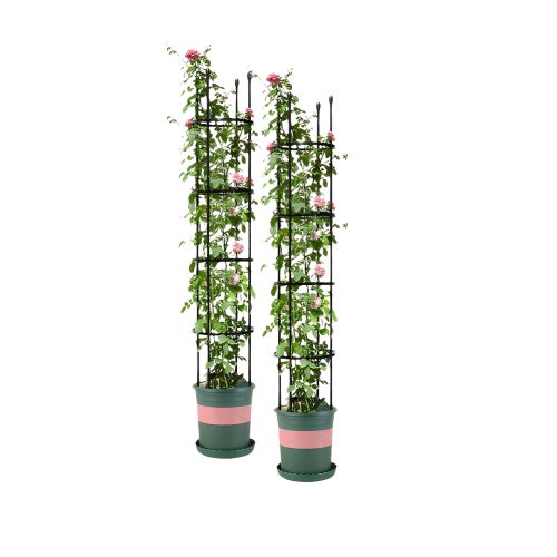 4-Bar Plant Frame Stand Trellis Vegetable Flower Herbs Outdoor Vine Support Garden Rack with Rings