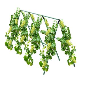 Plant Frame Tube Trellis Vegetable Flower Herbs Outdoor Vine Support Adjustable Garden Rack