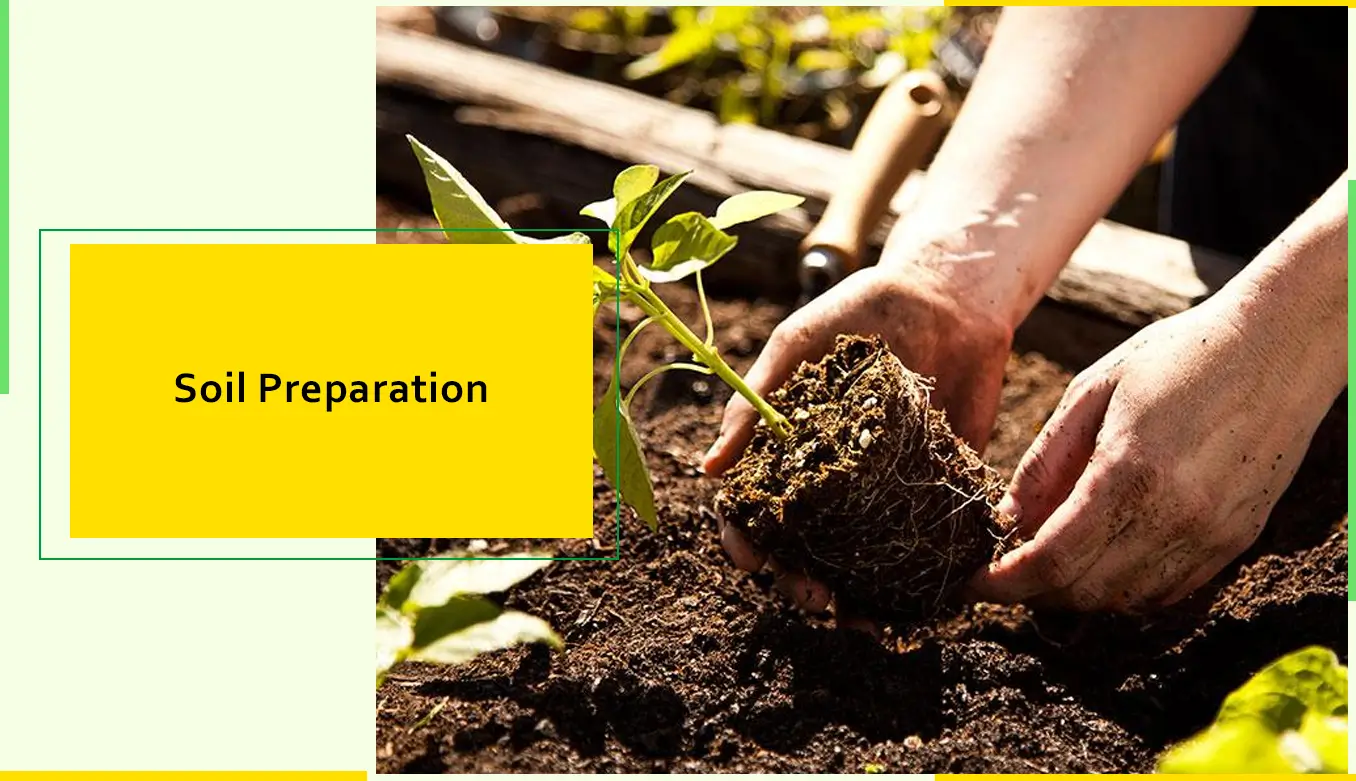 Soil Preparation