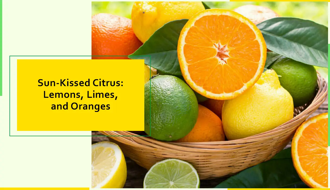 Sun Kissed Citrus Lemons Limes and Oranges