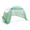 Home Ready Dome Tunnel Hoop Polytunnel Greenhouse Walk-In Shed PE