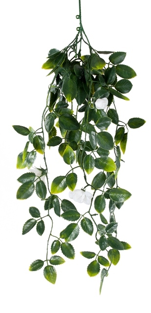 Mixed Hanging Foliage UV 60cm