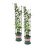4-Bar Plant Frame Stand Trellis Vegetable Flower Herbs Outdoor Vine Support Garden Rack with Rings – 133 cm, 2