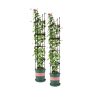4-Bar Plant Frame Stand Trellis Vegetable Flower Herbs Outdoor Vine Support Garden Rack with Rings – 163 cm, 2